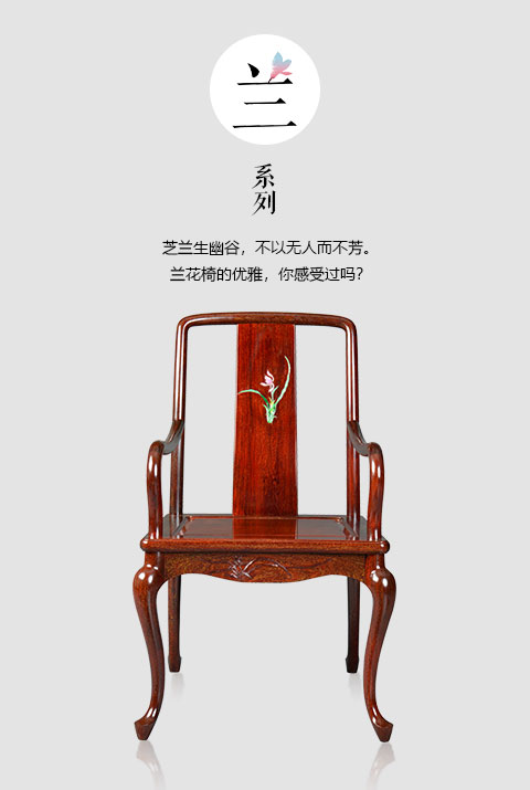 蘭系列