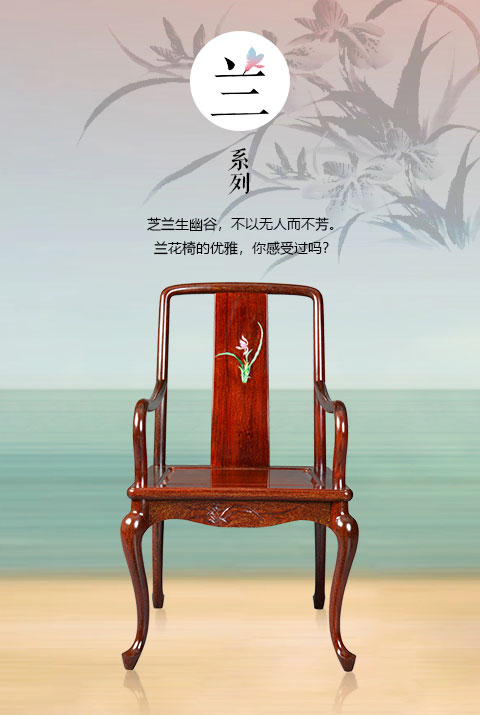 蘭系列
