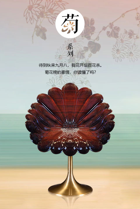 菊系列